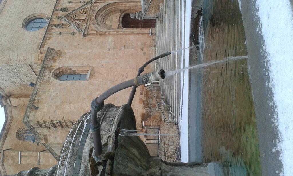 Hotel Las Casas De Pandreula Berlanga de Duero Εξωτερικό φωτογραφία